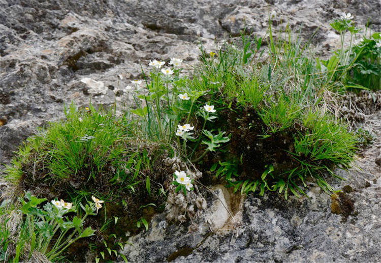 1722244882226563.jpg 30-2t.jpg