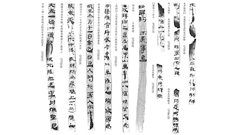 1723420865457938.jpg 20240812_080859_014.jpg