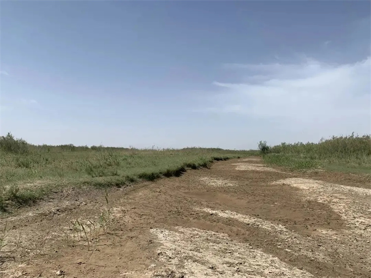 1723420963434213.jpg 20240812_080859_017.jpg