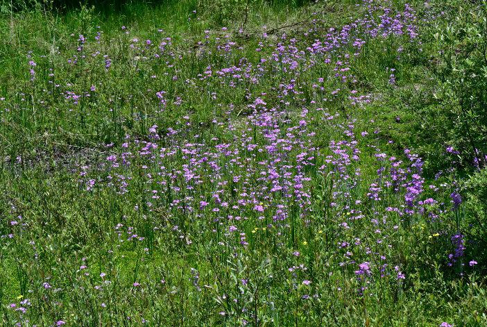 1722569748732376.jpg 13-2.jpg