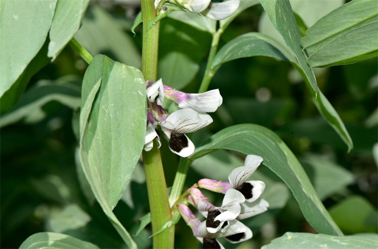 1722581171768448.jpg 15-2.jpg