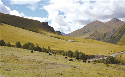 1726618587244680.jpg 2.jpg