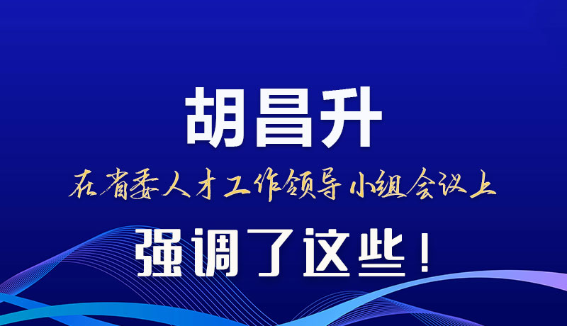 圖解|胡昌升在省委人才工作領導小組會議上強調了這些!