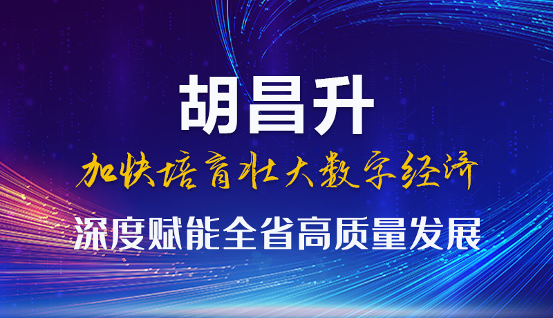 圖解|胡昌升：加快培育壯大數(shù)字經(jīng)濟(jì) 深度賦能全省高質(zhì)量發(fā)展