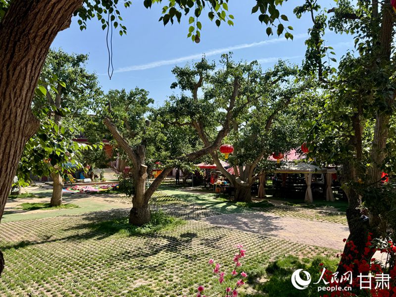 什川古梨園。人民網記者 焦隆攝